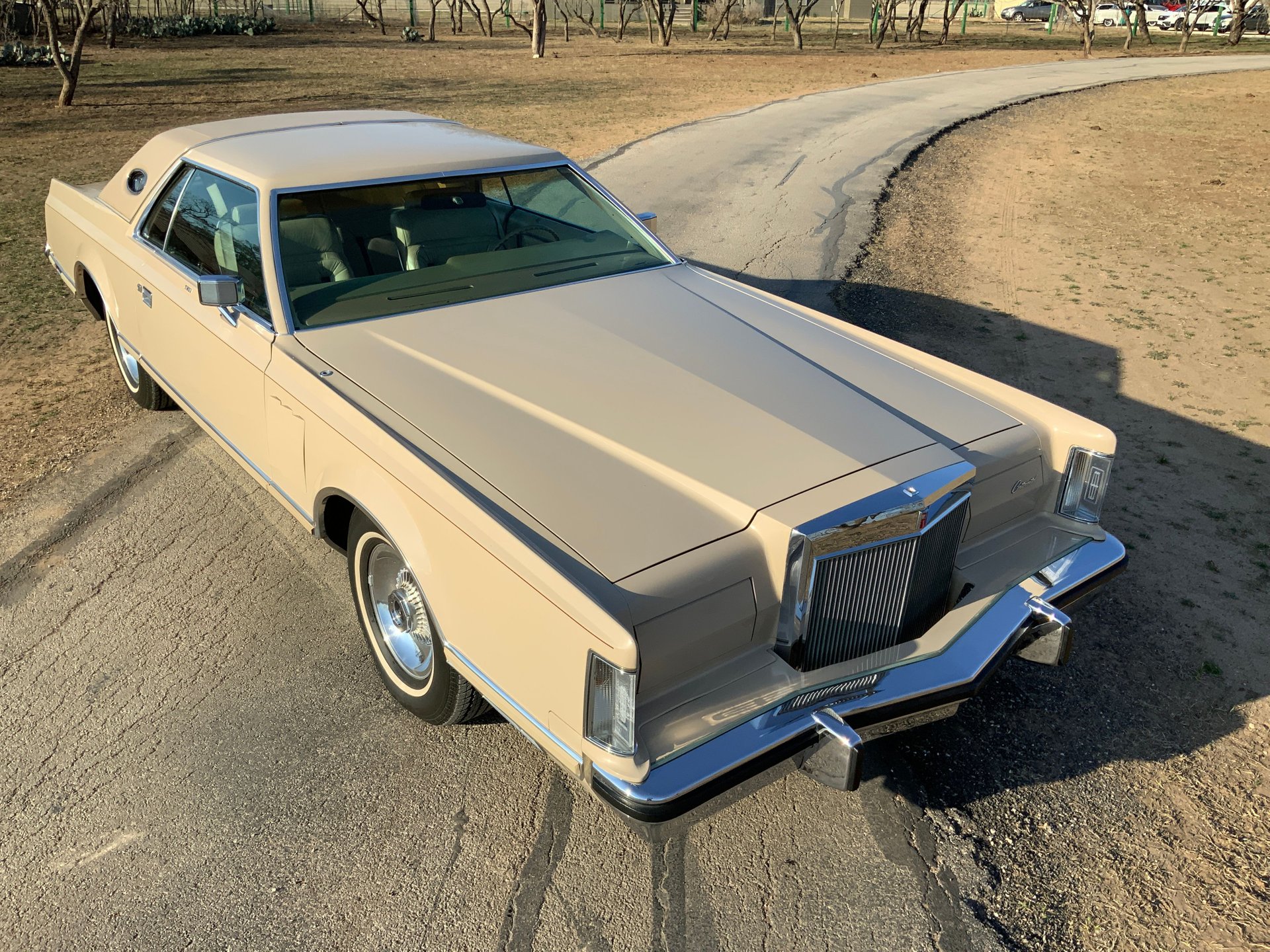 1978 Lincoln Mark V - Image 10