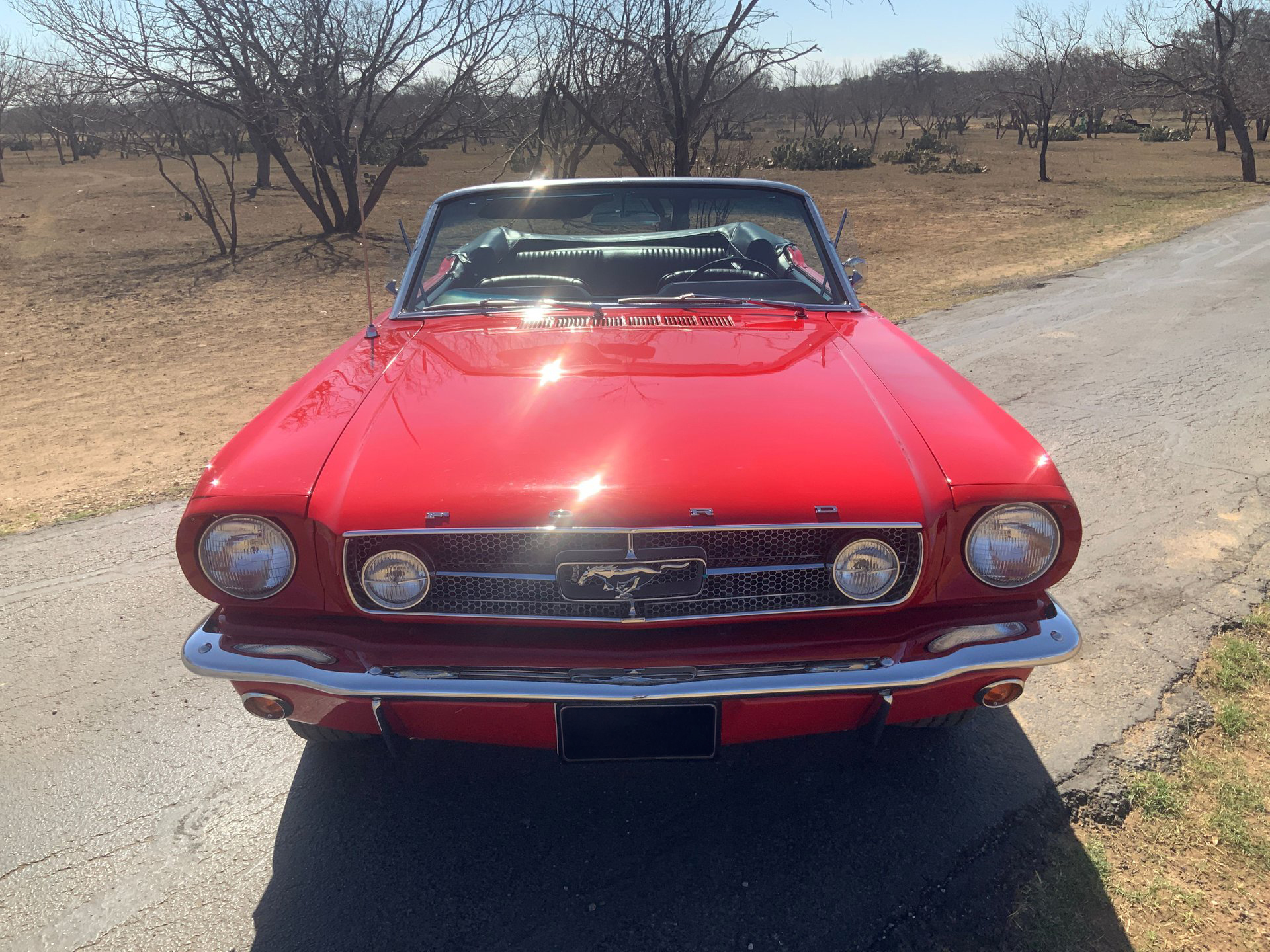 1965 Ford Mustang - Image 10
